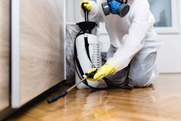 Best Pest Inspection Near Me  in Eminence, KY