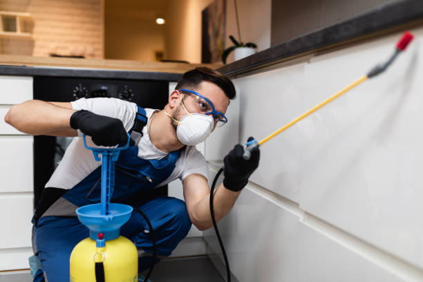 Best Bed Bug Extermination  in Eminence, KY