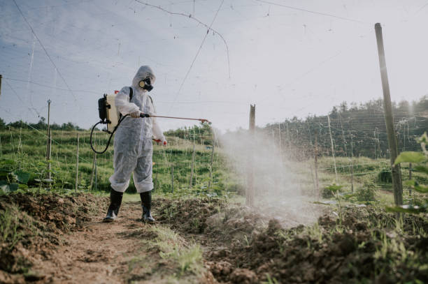 Best Best Pest Control Companies  in Eminence, KY