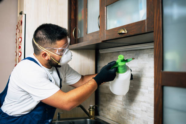 Best Affordable Pest Control Services  in Eminence, KY