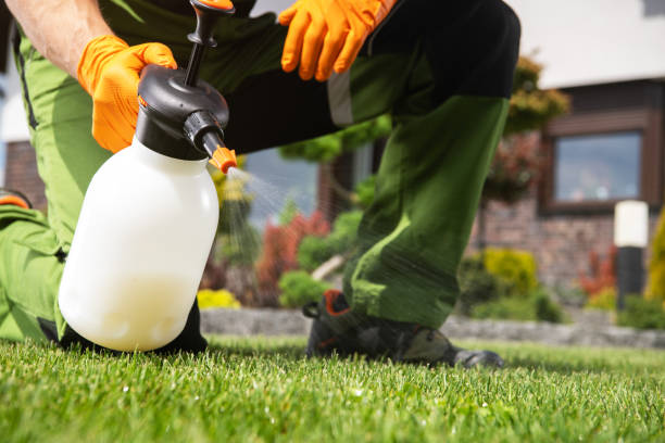 Flea Control Services in Eminence, KY
