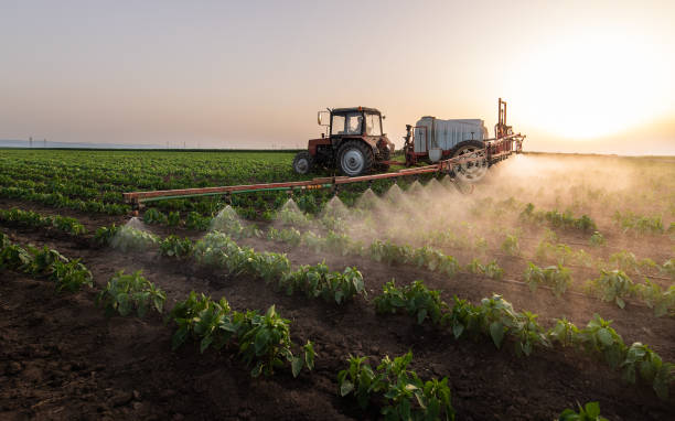 Best Best Pest Control Companies  in Eminence, KY