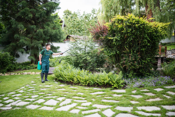 Trusted Eminence, KY Pest Control Experts