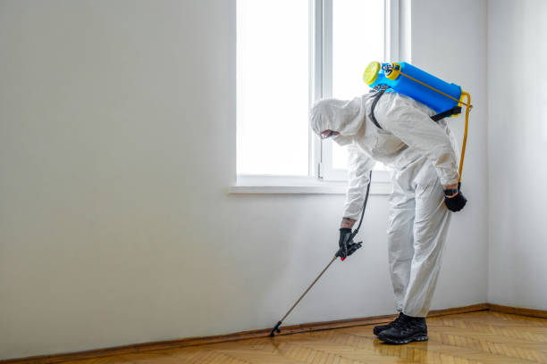 Best Local Pest Control Services  in Eminence, KY