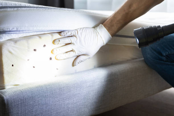 Best Residential Pest Control  in Eminence, KY