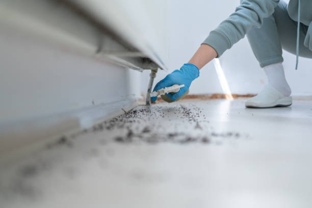 Best Mosquito Control Services  in Eminence, KY