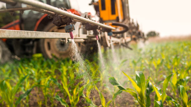 Best Ant Control Services  in Eminence, KY